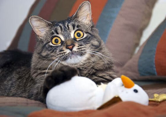 绿茵场上的活塞战术，欧冠半决赛的战术压制启示录